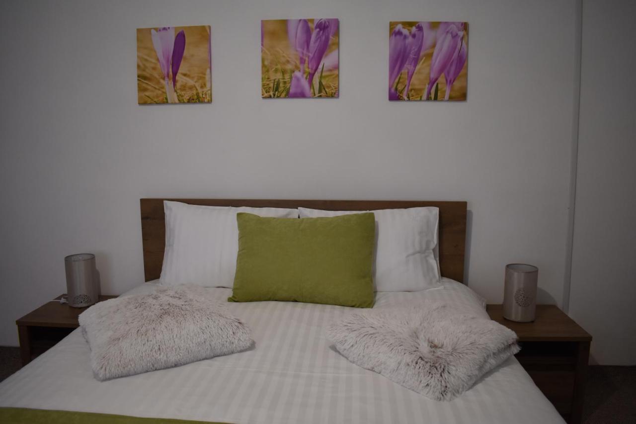 Apartament Zimbru Κλουζ-Ναπόκα Εξωτερικό φωτογραφία